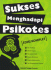 Sukses Menghadapi Tes Psikotes (Edisi Komplet)